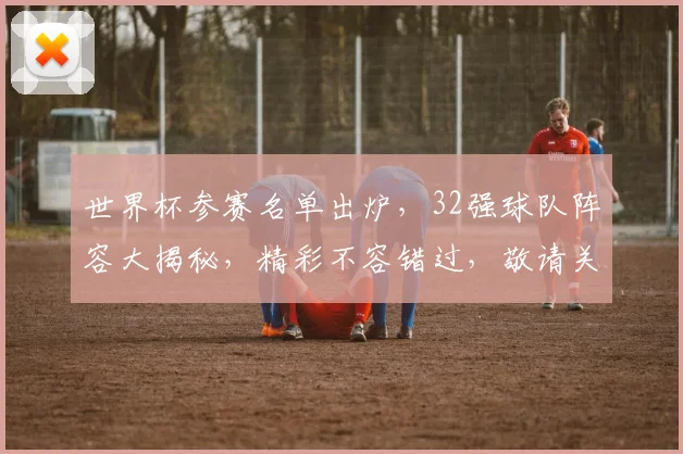 世界杯参赛名单出炉，32强球队阵容大揭秘，精彩不容错过，敬请关注