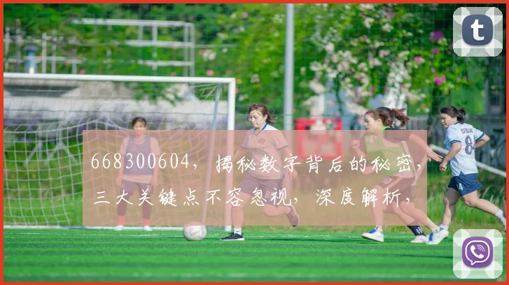 668300604，揭秘数字背后的秘密，三大关键点不容忽视，深度解析，必看