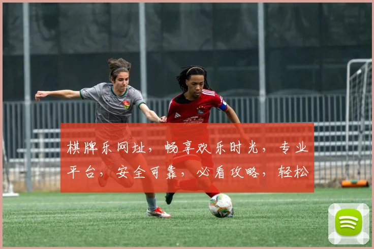 棋牌乐网址，畅享欢乐时光，专业平台，安全可靠，必看攻略，轻松入门
